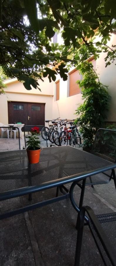 Adria Apartments Sveti Filip i Jakov Exterior foto